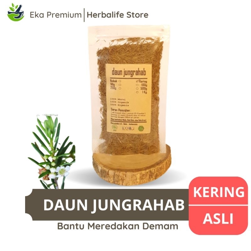 Jual Daun Jungrahab Kering Ujung Atap Asli Ramuan Rempah Herbal Murni