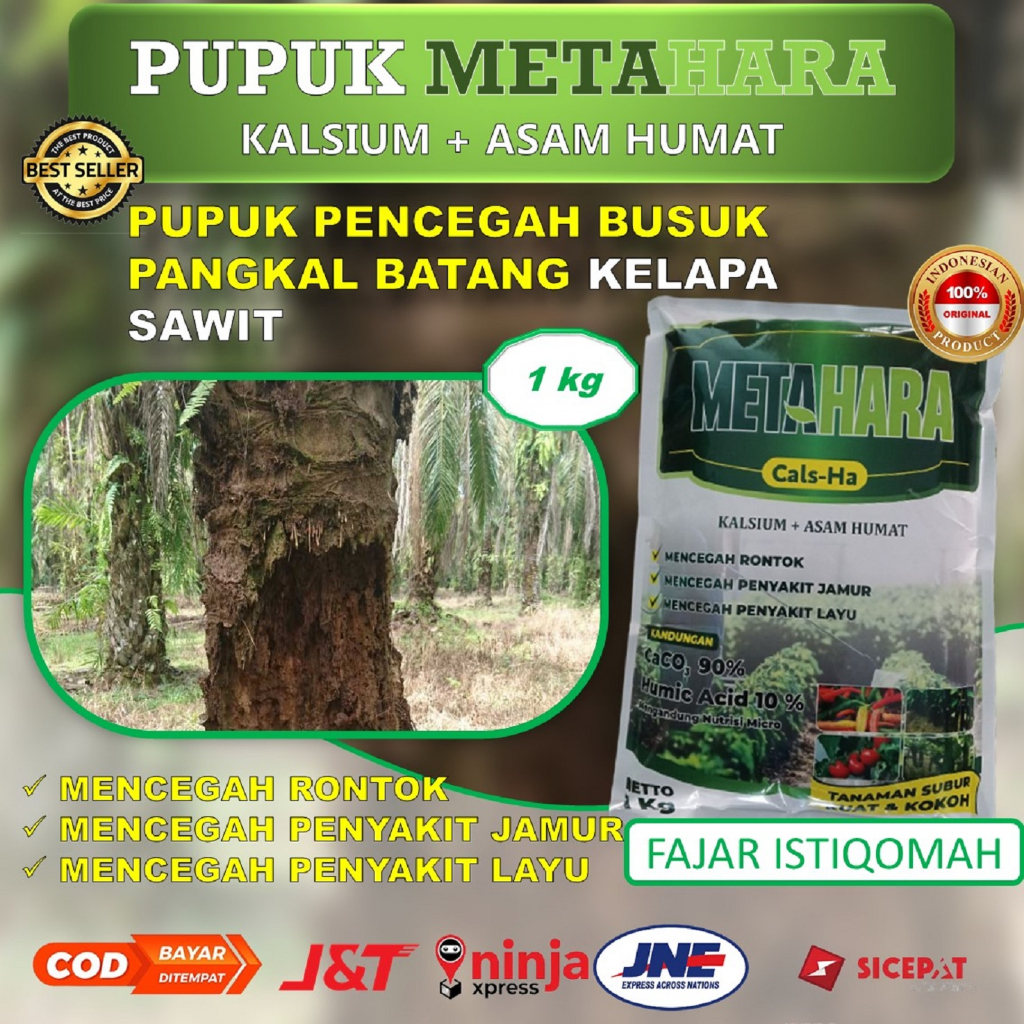 Jual Pupuk Kelapa Sawit Metahara Kg Pupuk Kalsium Asam Humat