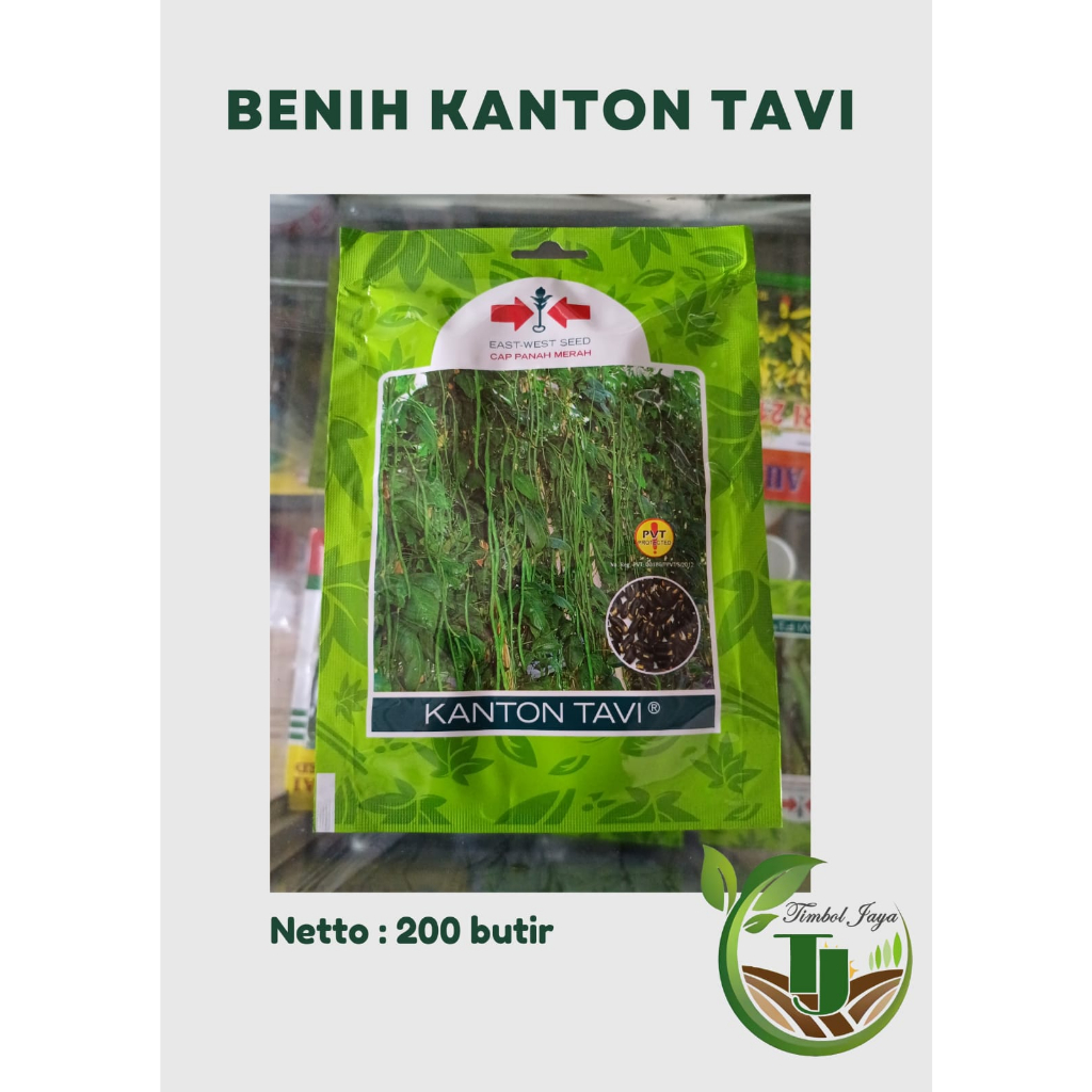 Jual Benih Kacang Panjang Kanton Tavi Butir Panah Merah Shopee