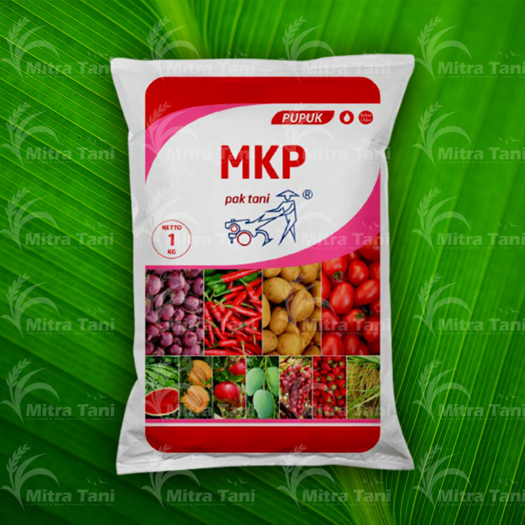 Jual Pupuk MKP Asli Pak Tani 1 KG Shopee Indonesia