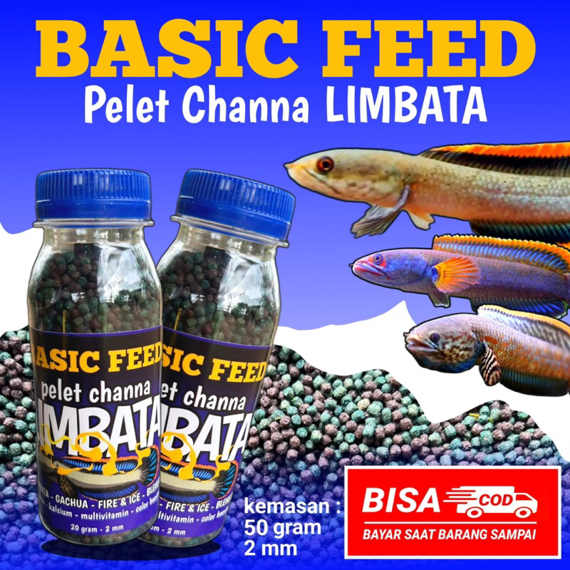 Jual Pelet Ikan Channa Limbata Gachua Fire Ice Bleheri Gram