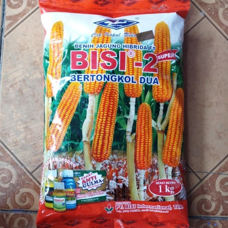 Jual Benih Jagung Super Hibrida Bisi Exp Nov Shopee Indonesia