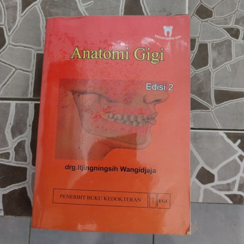 Jual Anatomi Gigi Shopee Indonesia