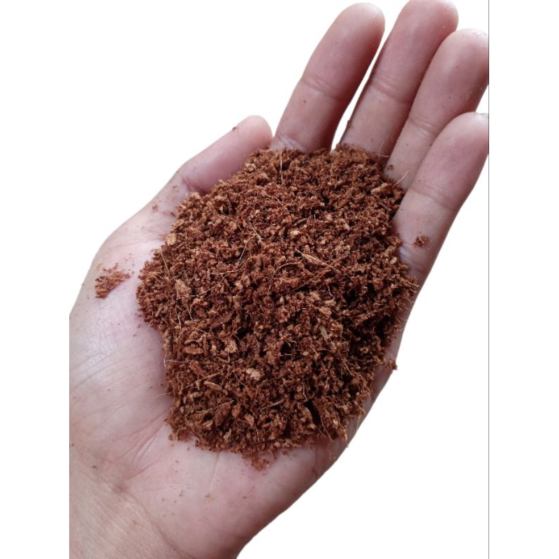 Jual Cocopeat Cocopet Sabut Kelapa Media Tanam Hidroponik