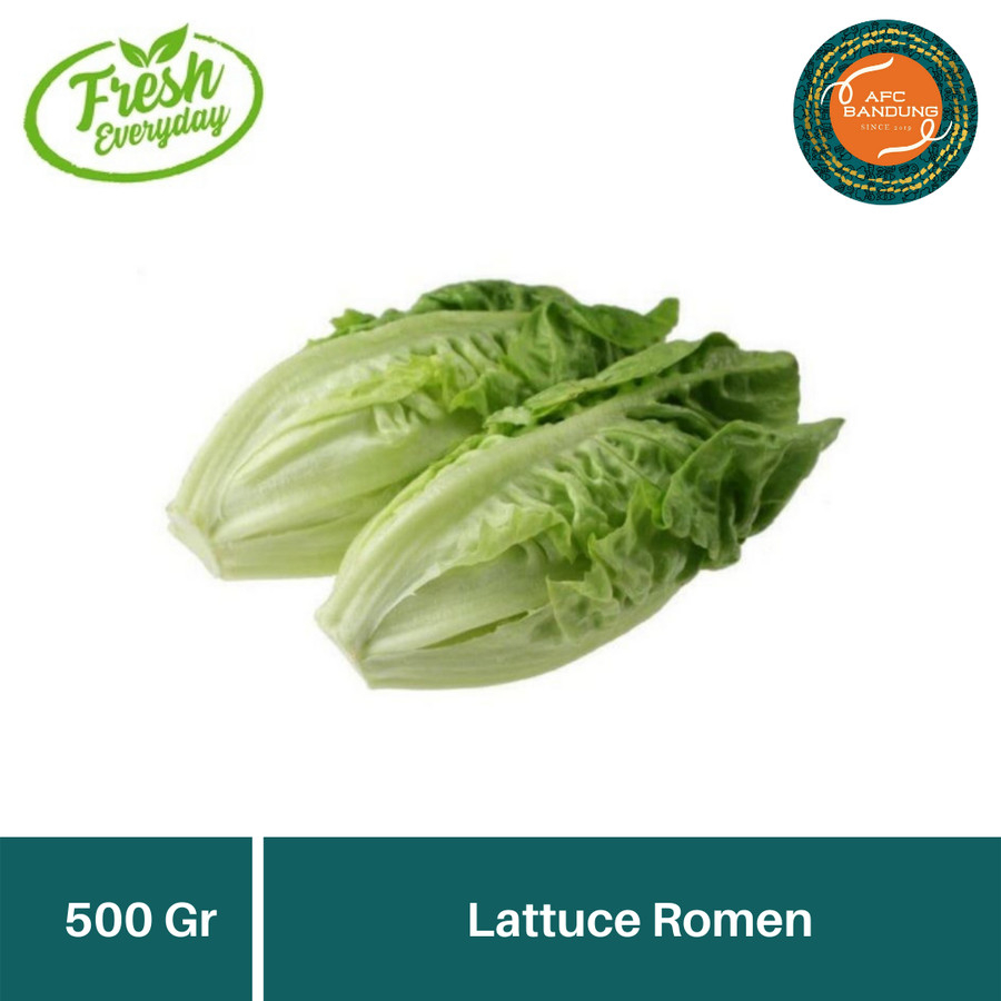 Jual Sayur Romen Sayuran Lettuce Roman Segar Romain Gr Shopee