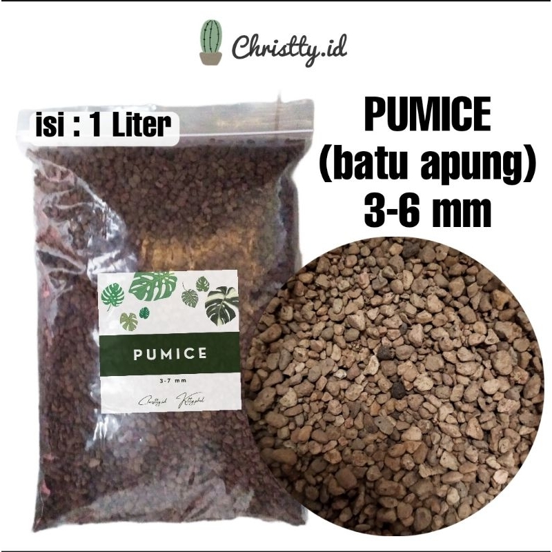 Jual Pumice Stone 3 8 Mm 1 Liter Batu Apung Media Tanam Kaktus Sukulen