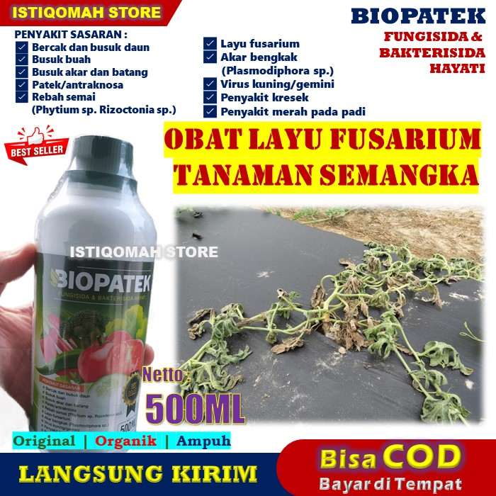 Jual Obat Layu Fusarium Daun Tanaman Semangka Ampuh BIOPATEK 500ML