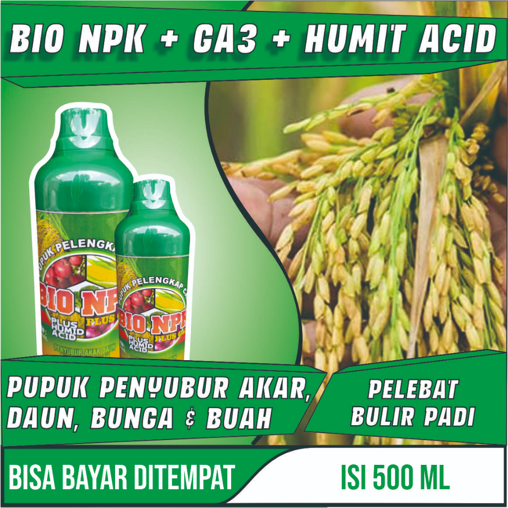 Jual Pupuk Organik Cair Tanaman Padi Perangsang Dan Pelebat Buah Padi