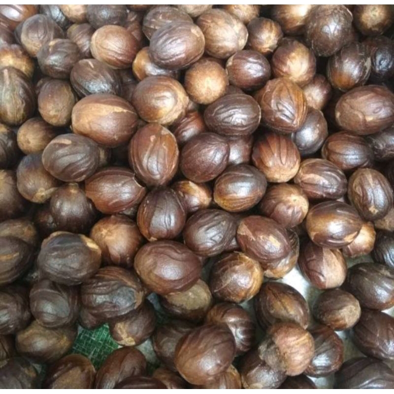 Jual Biji Pala Kering 1kg Shopee Indonesia