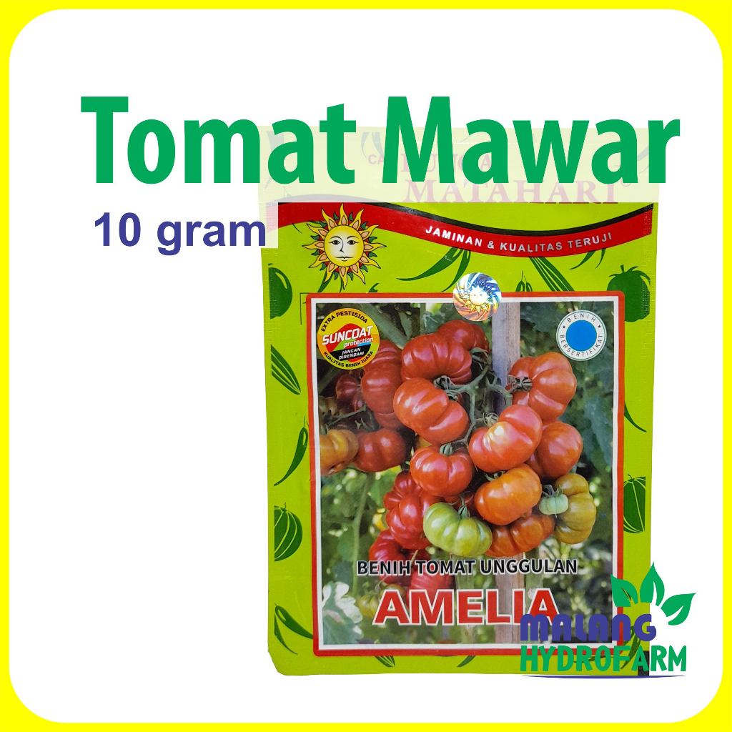 Jual Benih Tomat Mawar Amelia 10 Gram Cap Bunga Matahari Dataran