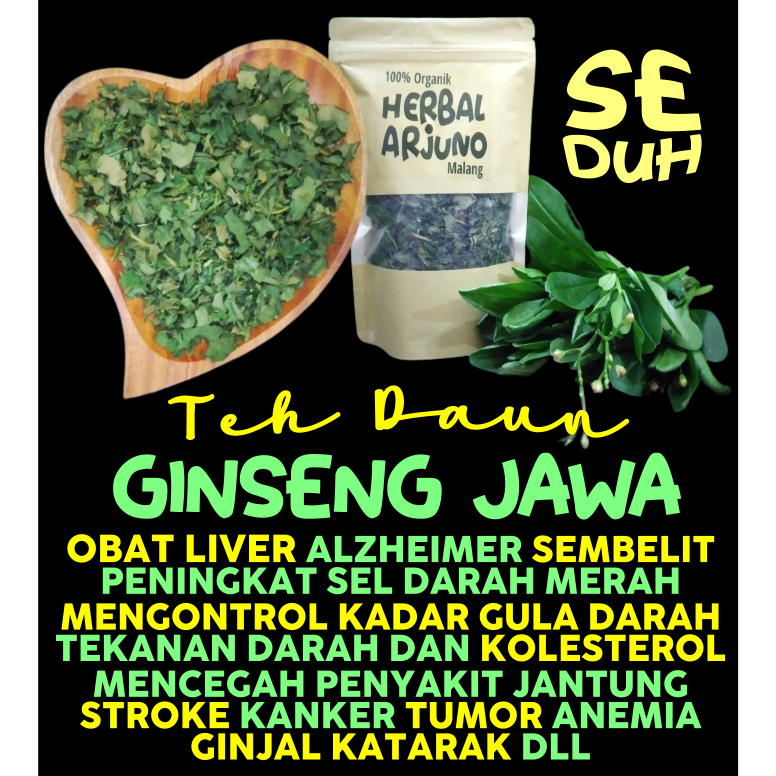 Jual B Dehydrated Dried Teh Daun Ginseng Kolesom Som Jawa Obat Liver