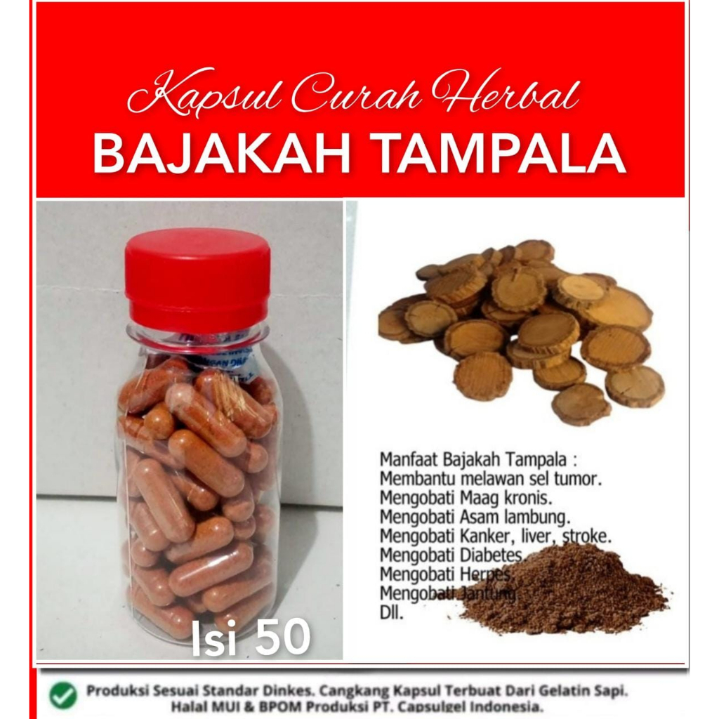 Jual Akar Bajakah Kapsul Curah Herbal Kemasan Botol Shopee Indonesia