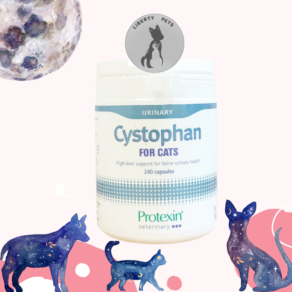 Jual Cystophan Cat Urinary Obat Untuk Gangguan Saluran Kencing Kucing