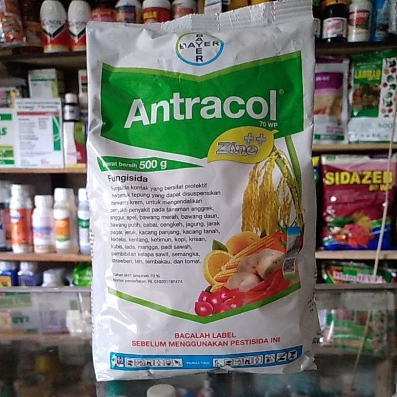 Jual Fungisida Antracol 70 WP 500gr Original Shopee Indonesia