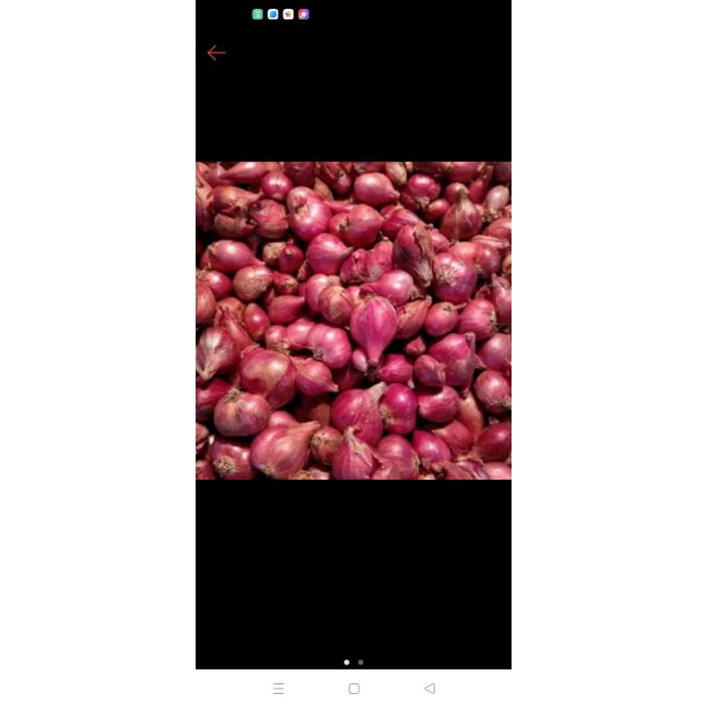 Jual BAWANG MERAH LOKAL 1KG Shopee Indonesia