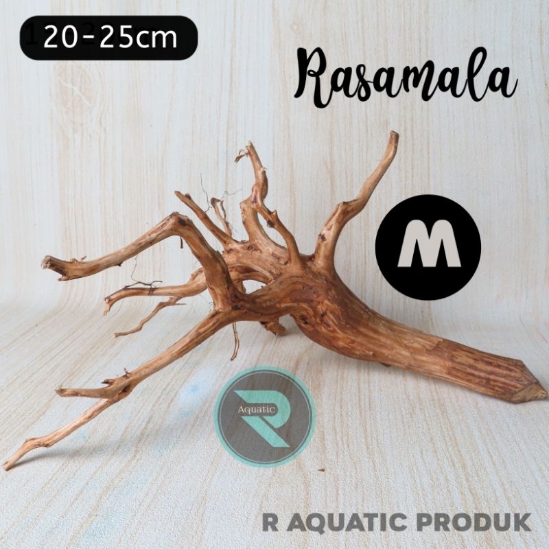 Jual Akar Kayu Rasamala Aquascape Size M Cm Shopee Indonesia