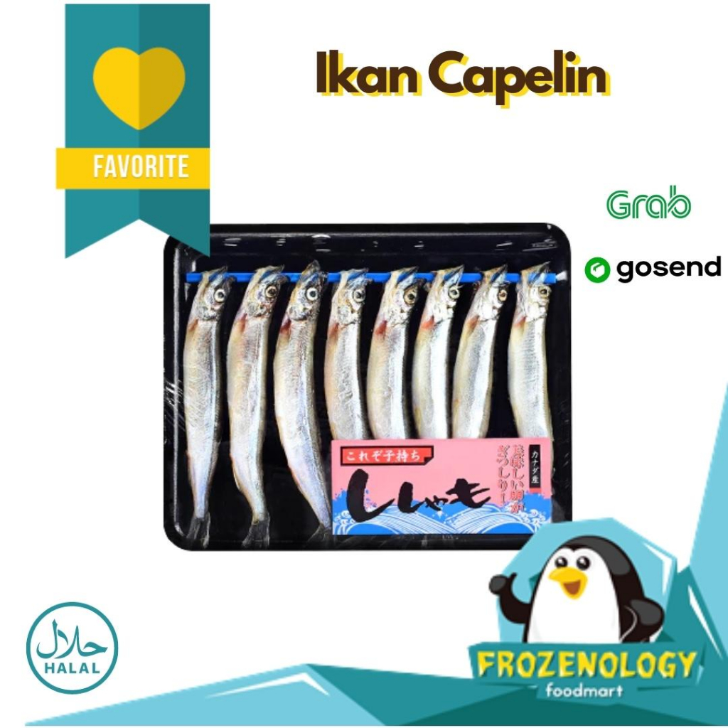 Jual Shisamo Fish Ikan Capelin Gendut Telur Full Kaya Gizi Omega Isi