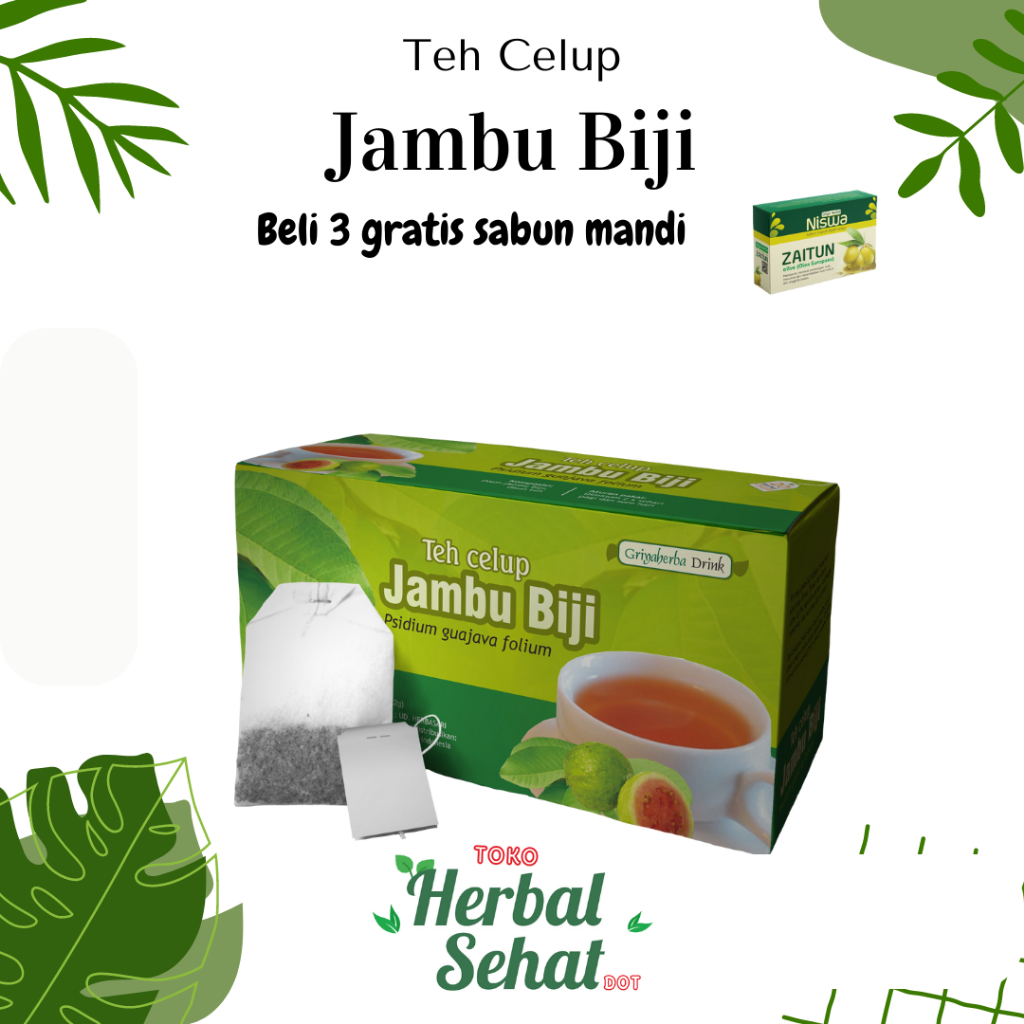 Jual Teh Herbal Jambu Biji Griya Herba Isi 20 Kantong Teh Untuk