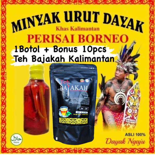 Jual Minyak Urut Dayak Asli Akar Kayu Terbaik Kalimantan Rajanya