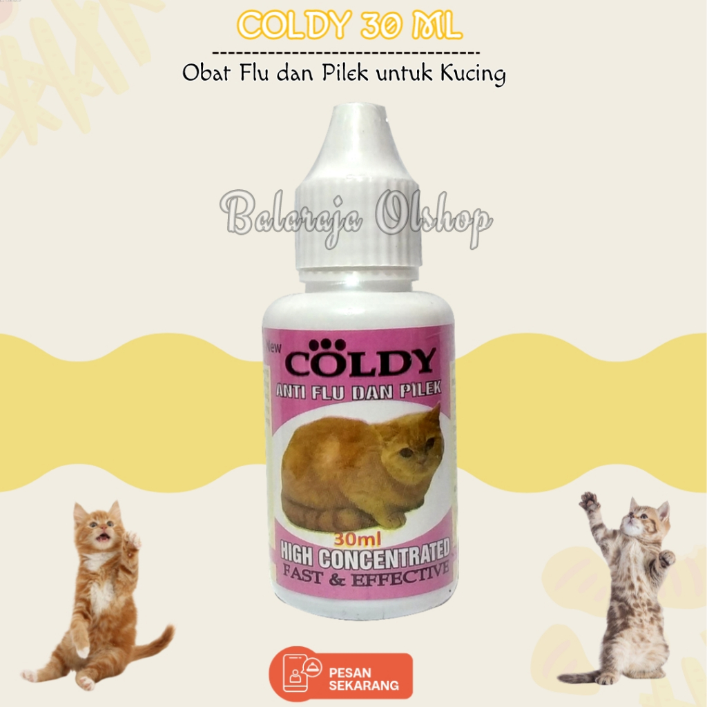 Jual Obat Flu Kucing Pilek Bersin Bersin Ingusan Kucing Kitten