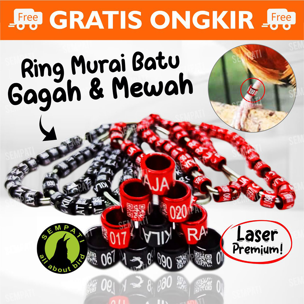 Jual Ring Murai Laser Ring Penanda Kaki Burung Murai Gelang Stainless