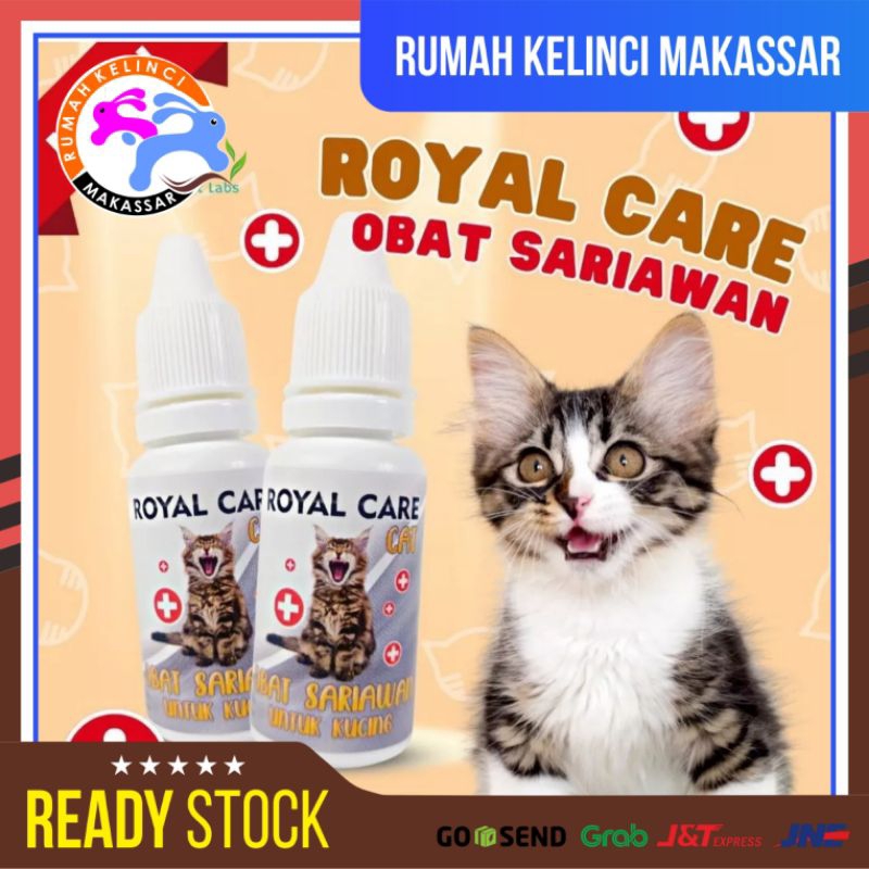 Jual ROYAL CARE Sariawan Kucing Obat Sariawan Kucing 10ML Shopee