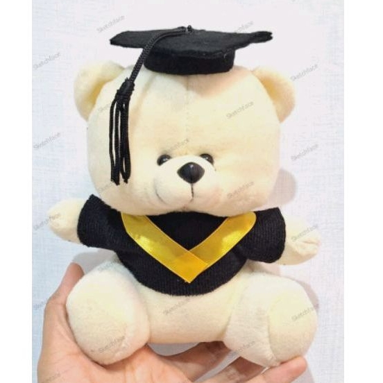 Jual Bear Wisuda Cm Bear Toga Wisuda Boneka Wisuda Shopee