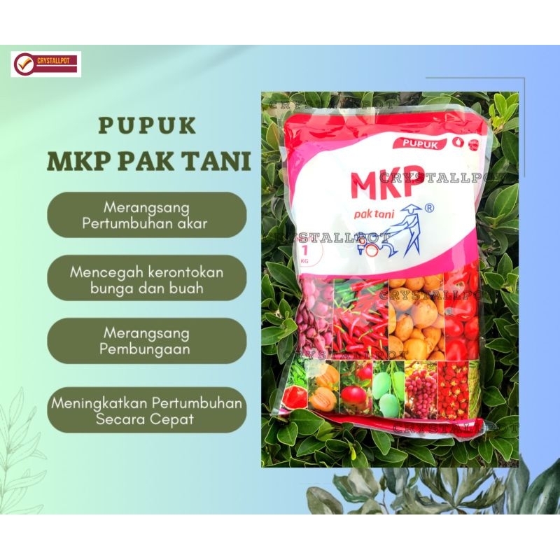 Jual PUPUK MKP MONO KALIUM PHOSPHAT BUAH DAN BUNGA KEMASAN PABRIK 1 KG