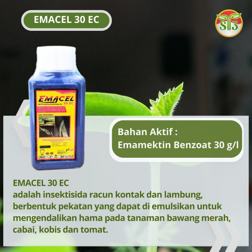 Jual Insektisida Kontak Emacel 30 EC 100 Ml Toko Obat Pertanian