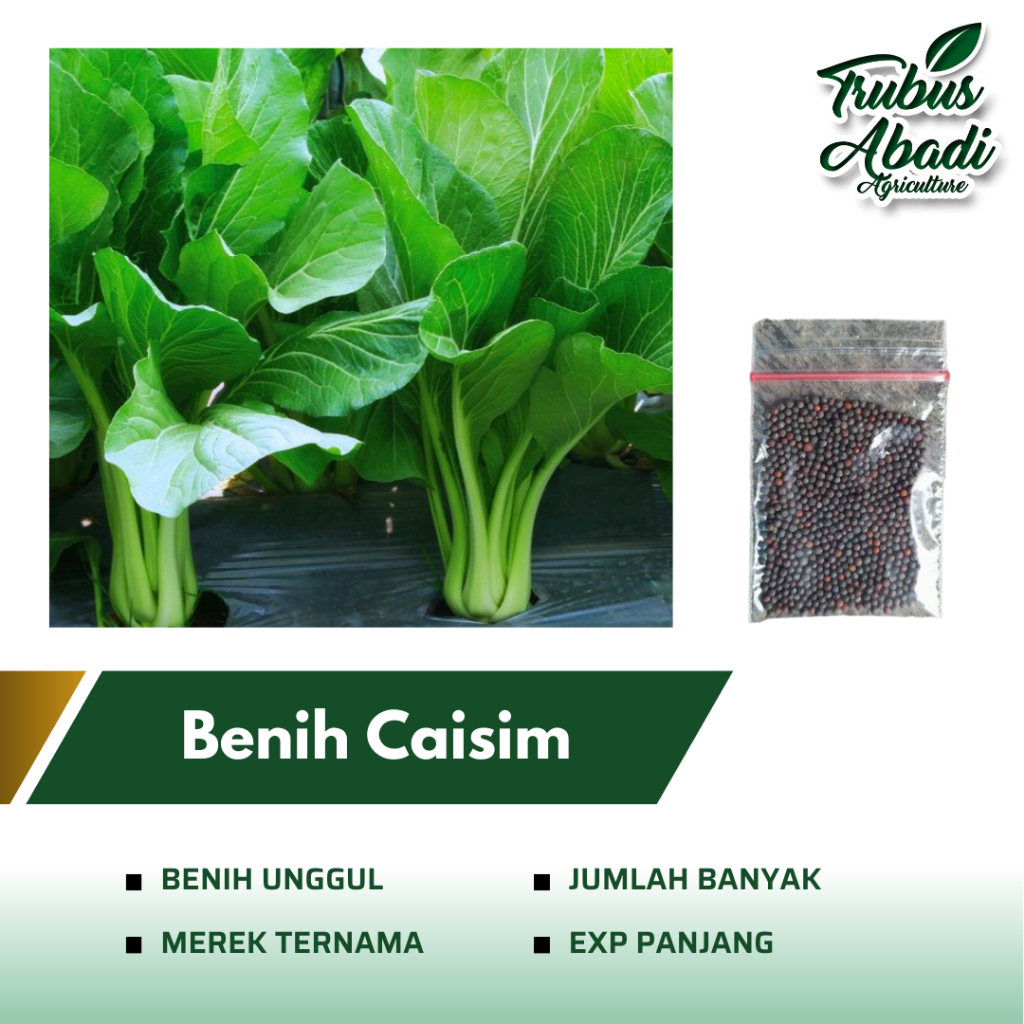 Jual Benih Bibit Sawi Hijau Caisim Kemasan Repack Benih Sayuran