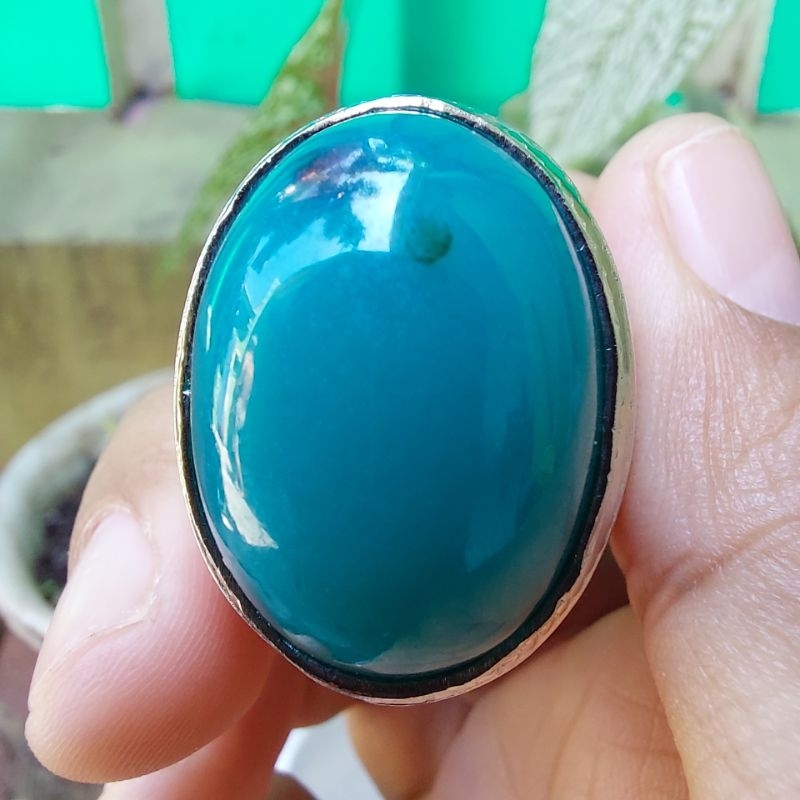 Jual Bacan Doko Majiko Shopee Indonesia