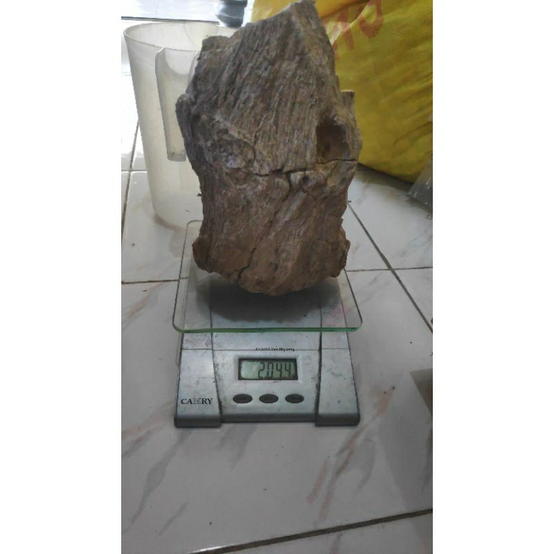 Jual Batu Fosil Kayu Aquascape Hiasan Aquarium Shopee Indonesia