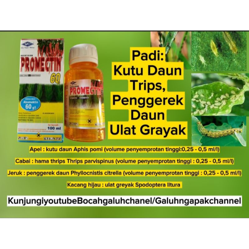 Jual Pembasmi Kutu Daun Ulat Grayak Trips Dll Insektisida Promectin