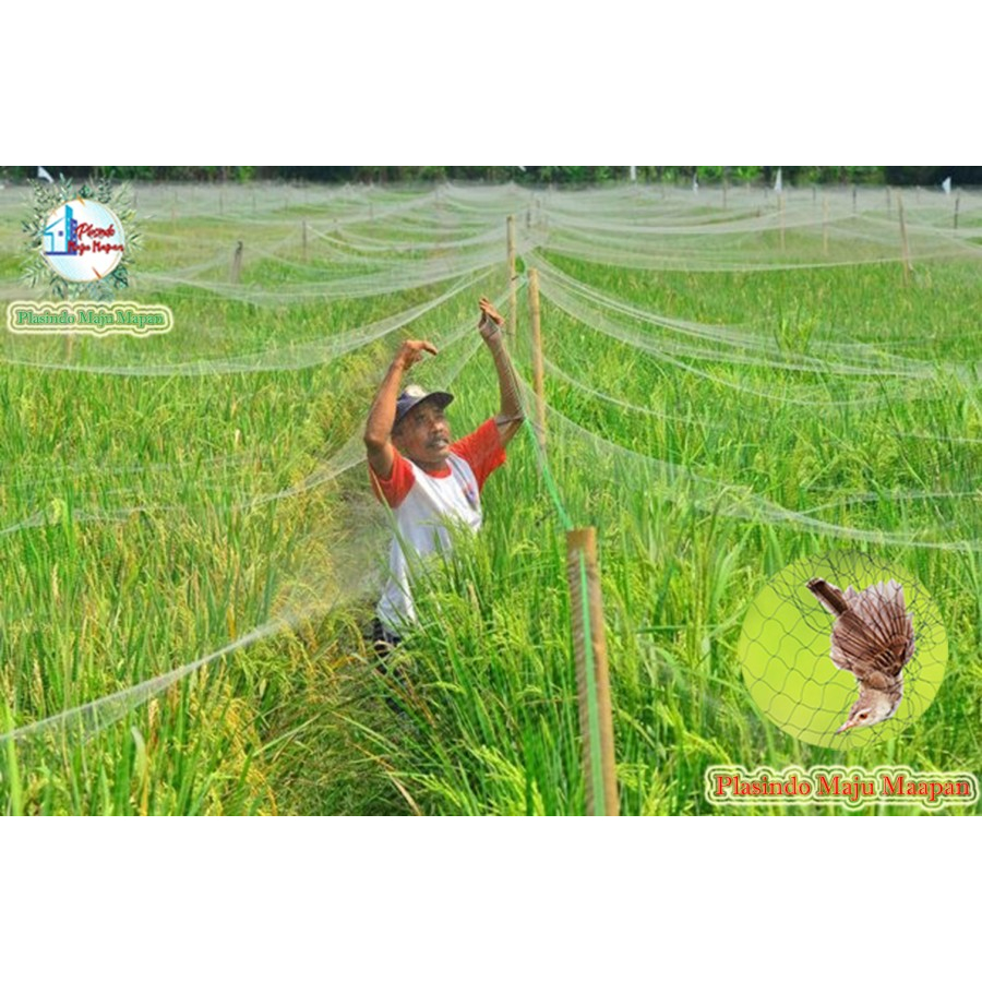 Jual Jaring Burung M X M Jaring Sawah Jaring Ikan Jaring