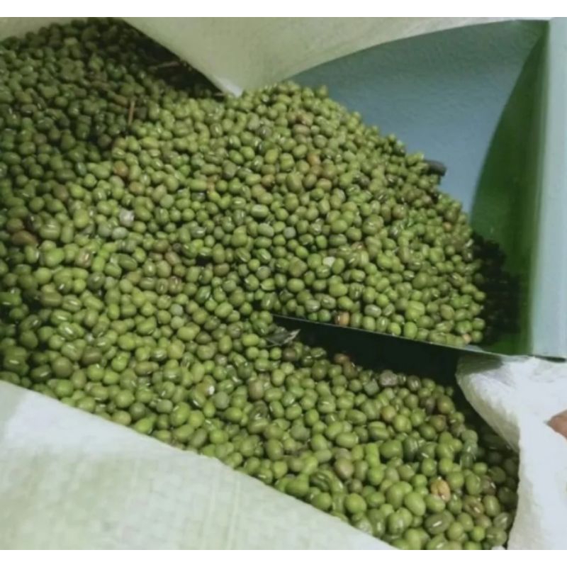 Jual Kacang Hijau 1 Kg Shopee Indonesia