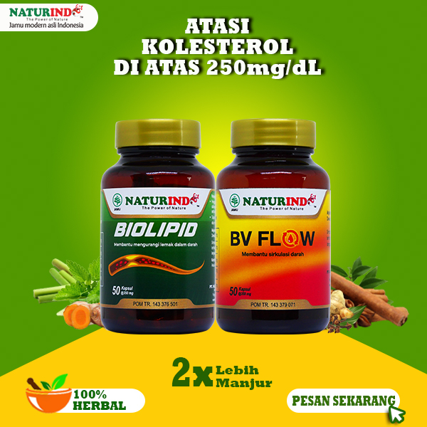 Jual Obat Kolesterol Ampuh Obat Kolestrol Tinggi Herbal Menurunkan