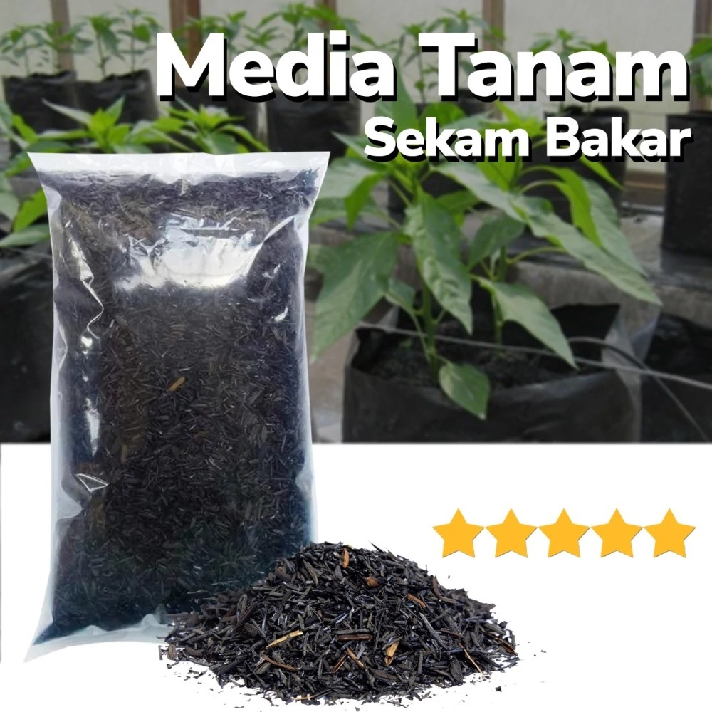 Jual Sekam Bakar Murni Media Tanam Kemasan Plastik Kg Arang Padi