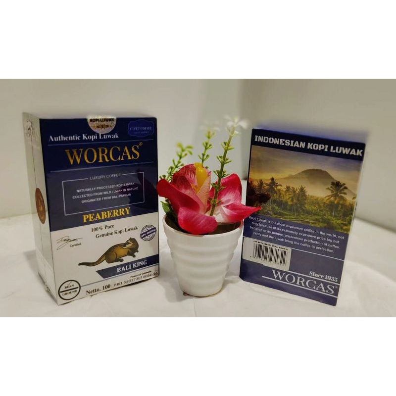 Jual Worcas Kopi Luwak Bali King Peabery Small Box G Shopee Indonesia