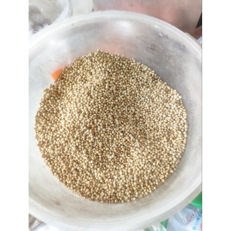 Jual Ketumbar Butir Kemasan 1kg Shopee Indonesia