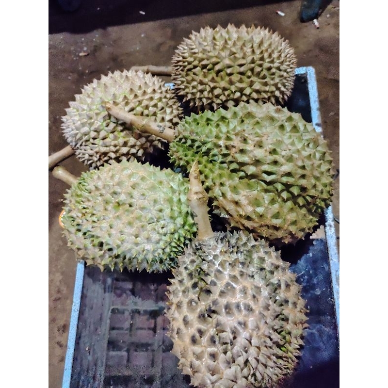 Jual Durian Bawor Banyumas Harga Per Buah 3kg Up Shopee Indonesia