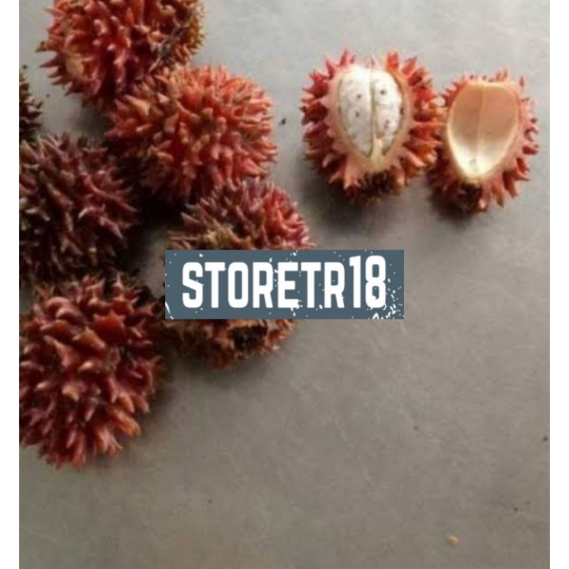 Jual Buah Parahulu Rambutan Tanah Paket Gram Shopee Indonesia