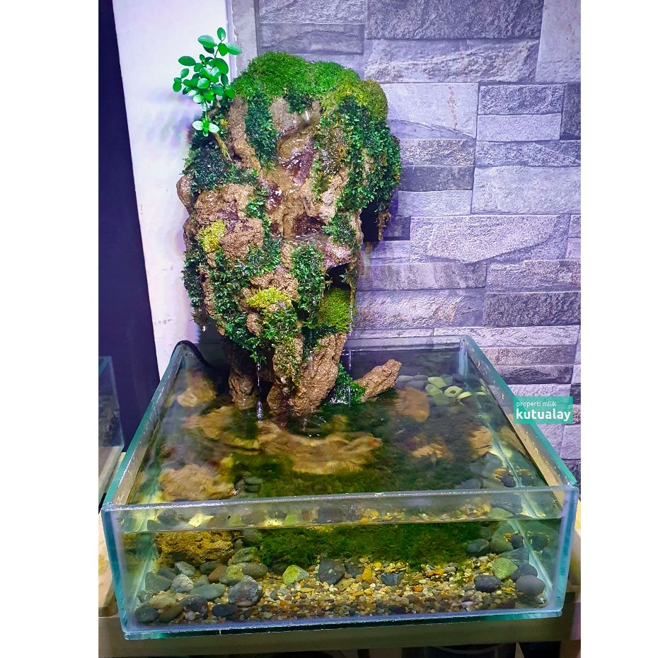 Jual Shallow Tank Paludarium Hiasan Meja Terrarium Waterfall K