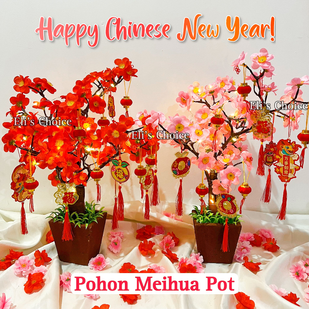 Jual Paket Hemat Sincia Pohon Bunga Meihwa Pot Sincia Bunga Sakura