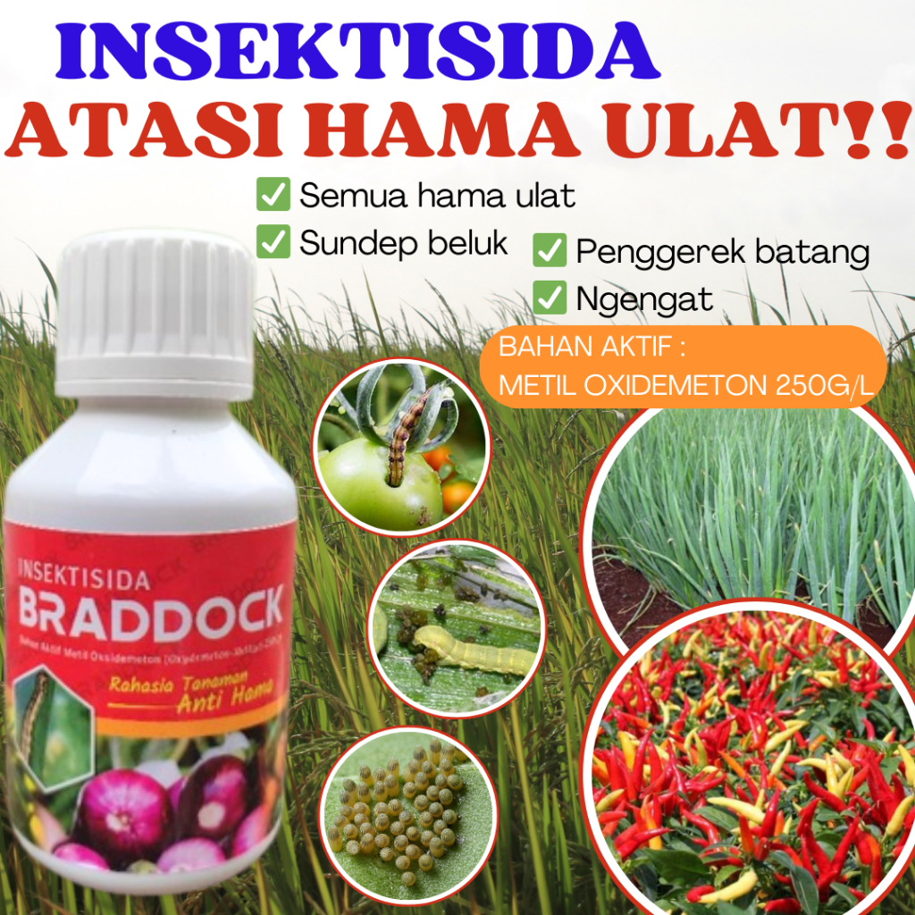 Jual Insektisida Sistemik Selektif Braddock 100ml Pembasmi Hama Ulat