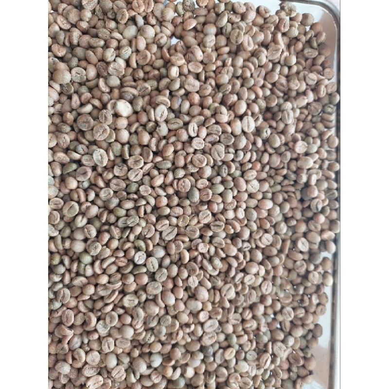 Jual Green Bean Robusta Lampung Grade Natural Process Kg Shopee