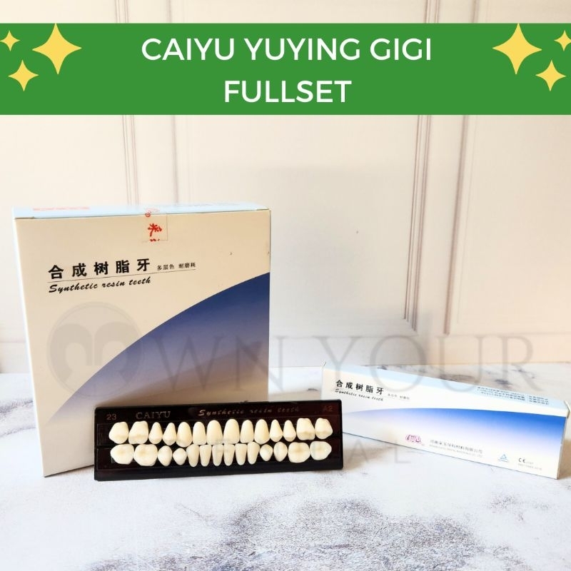 Jual Gigi Caiyu Yuying Fullset Upper Lower Anterior Posterior Geraham