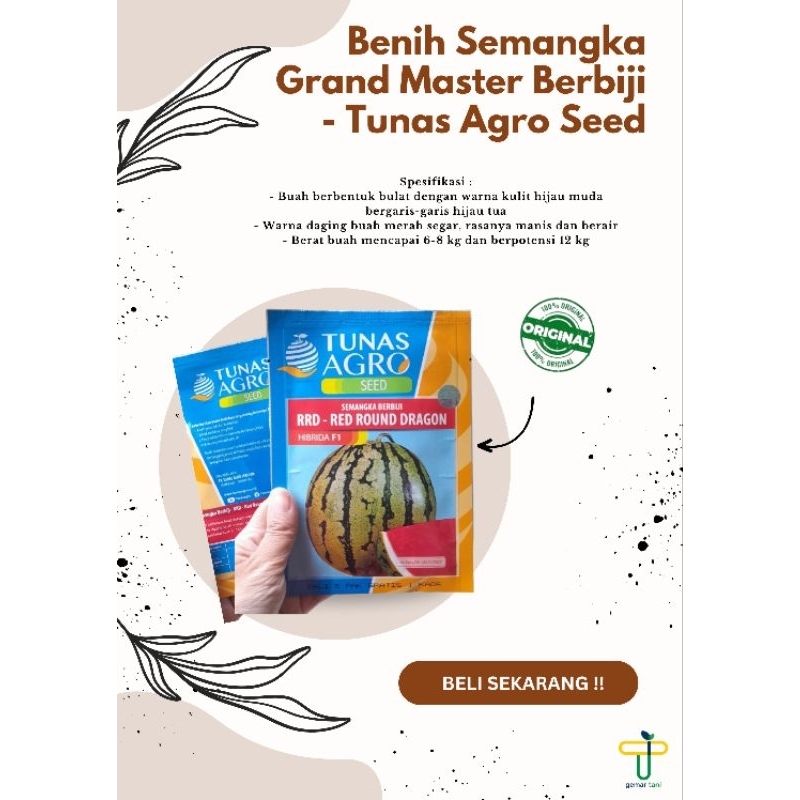 Jual Benih Semangka RRD RED ROUND DRAGON Tunas Agro Lorek Merah