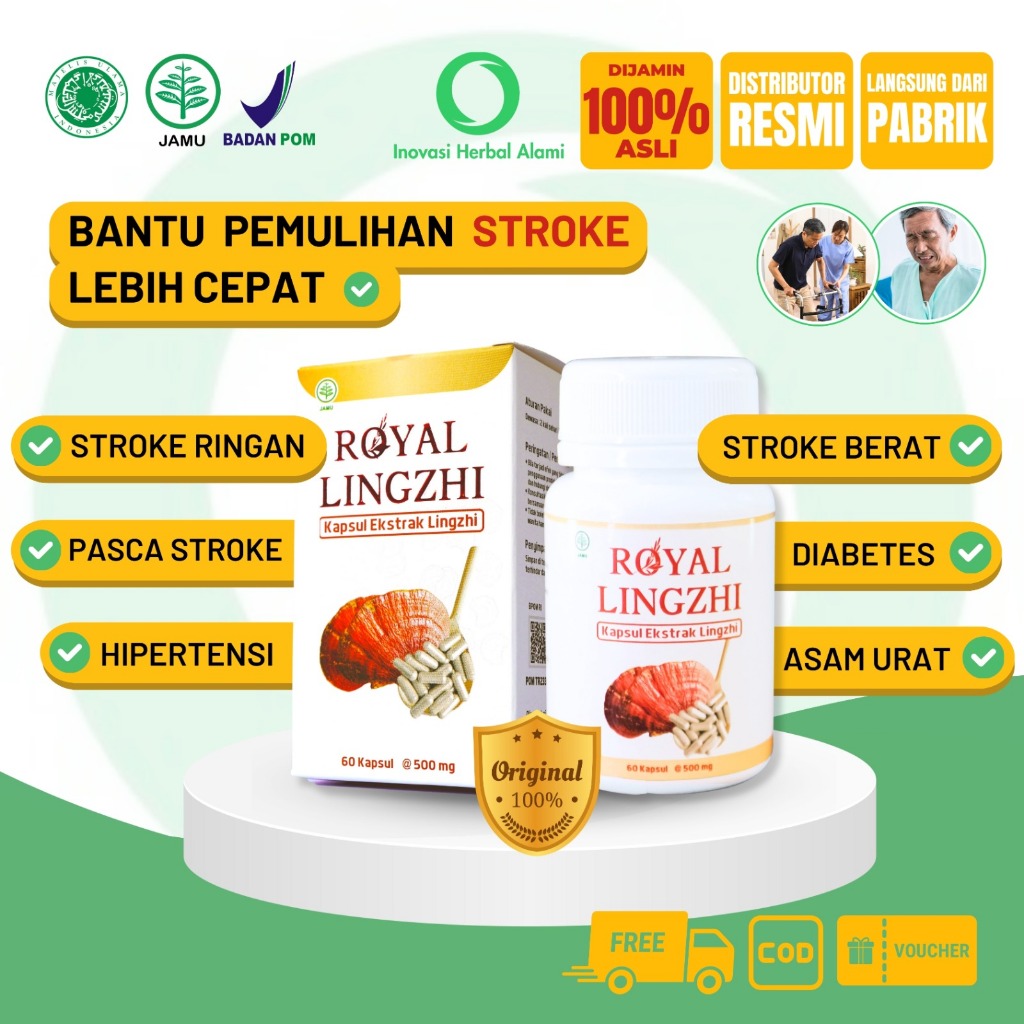 Jual ROYAL LINGZHI 100 Asli Obat Stroke Berat Ringan Herbal Pemulihan