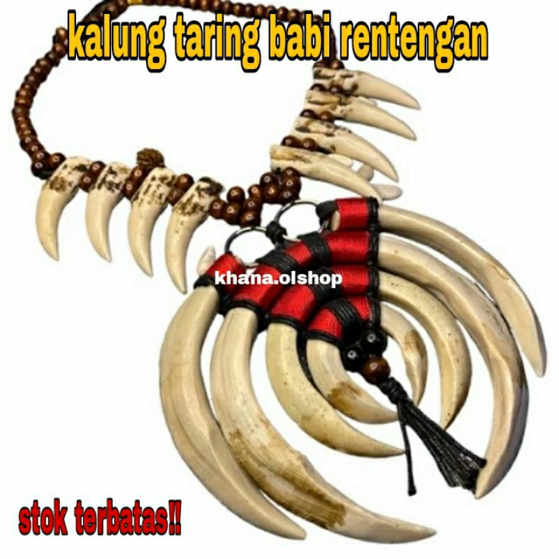 Jual Kalung Pria Etnik Taring Babi Etnik Dayak Kalimantan Shopee