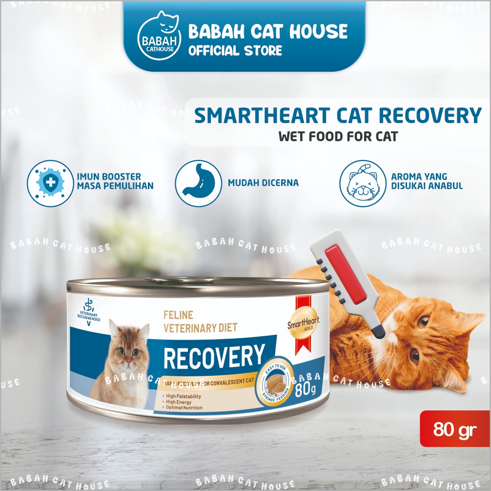 Jual SMARTHEART CAT RECOVERY 80gr KALENG Makanan Kucing Basah Wet Food